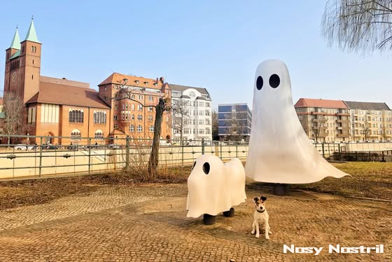 Noch hält Zuchthündin Lina die Nosy Nostril Sporthund-Welpen verborgen.