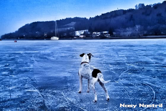 Wintermärchen-Traumpaar Xtreme Tears in Heaven vom Mehrental und Nosy Nostril Angelina Jolie