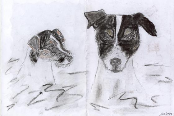 Meine Parson und Jack Russell Terrier, gesehen und gezeichnet von Jara Frick (2006)
