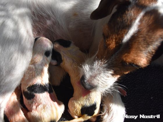 25.06.2016, Bilder der ersten Stunde: Lara Croft - Die Wiege des Leben und Lieben 25.06.2016, Bilder der ersten Stunde: Angelina Jolie & Lara Croft - Leben und Lieben