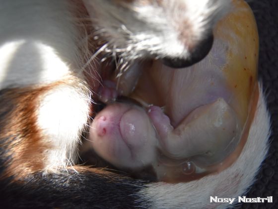 25.06.2016 10:06 h: Lara Croft - Die Wiege des Lebens 25.06.2016 10:06 h: Lara Croft - Die Wiege des Lebens