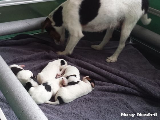 30.06.2016: Angelina Jolie - A Place In Time (1) 30.06.2016: Angelina Jolie - A Place In Time (1)