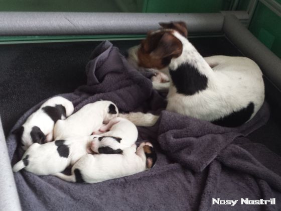 30.06.2016: Angelina Jolie - A Place In Time (2) 30.06.2016: Angelina Jolie - A Place In Time (2)