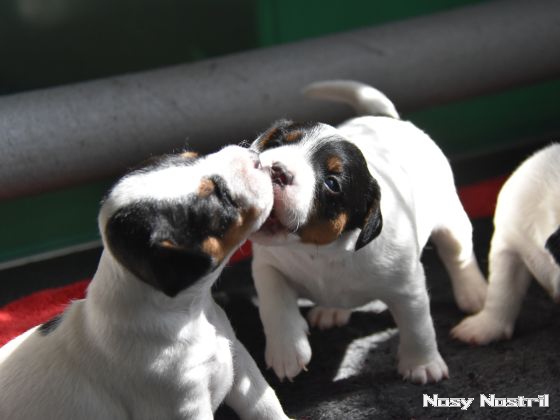 16.07.2016: Angelina Jolie - Liebe und andere... 16.07.2016: Angelina Jolie - Liebe und andere...