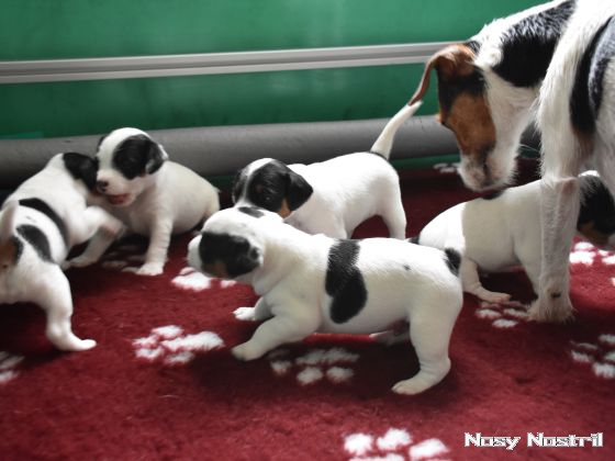 18.07.2016: Angelina Jolie - It's About Time 18.07.2016: Angelina Jolie - It's About Time