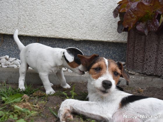 26.07.2016: What Angelina Jolie Will Tell You 26.07.2016: What Angelina Jolie Will Tell You