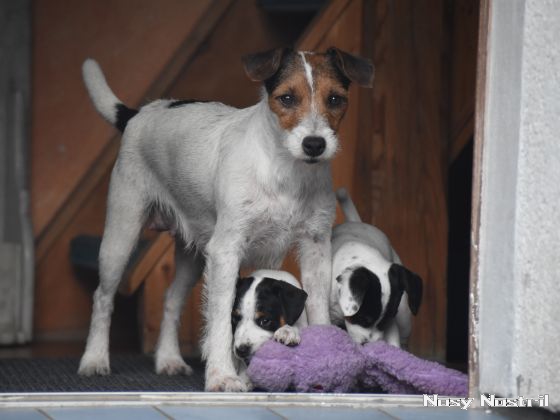 05.08.2016: Zucht und Zuversicht 05.08.2016: Zucht und Zuversicht