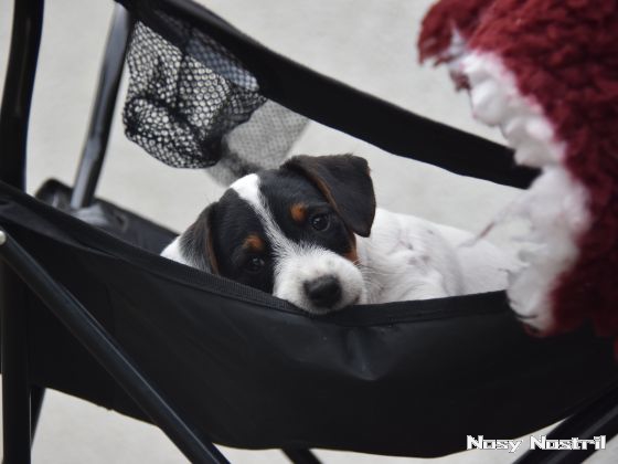 18.08.2016: Angelina Jolie - Preis der Schönheit 18.08.2016: Angelina Jolie - Preis der Schönheit