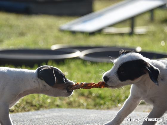 19.08.2016: Angelina Jolie - True Women 19.08.2016: Angelina Jolie - True Women