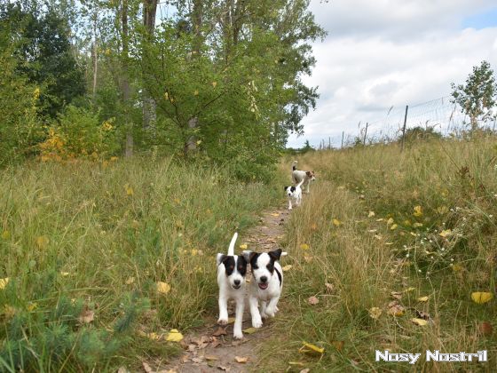 23.08.2016: Angelina Jolie - Der weite Weg der Hoffnung (2) 23.08.2016: Der weite Weg der Hoffnung (2)