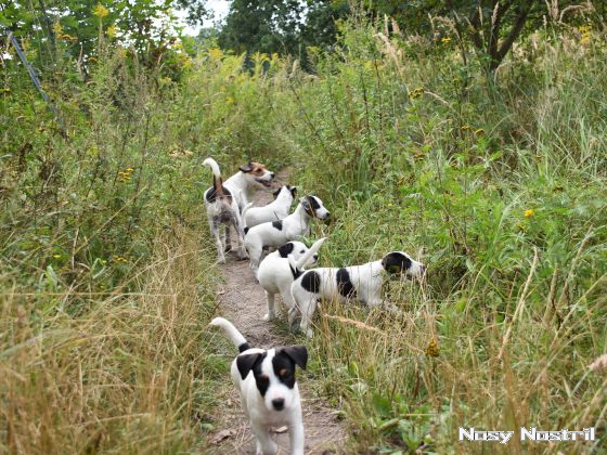 23.08.2016: Angelina Jolie - Der weite Weg der Hoffnung (3) 23.08.2016: Der weite Weg der Hoffnung (3)