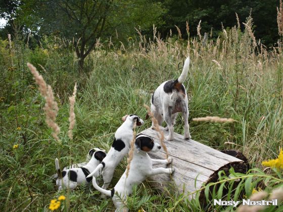 23.08.2016: Angelina Jolie - Der weite Weg der Hoffnung (4) 23.08.2016: Der weite Weg der Hoffnung (4)