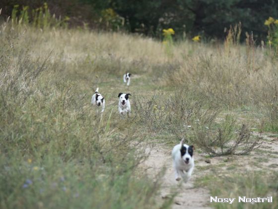 23.08.2016: Der weite Weg der Hoffnung (5)