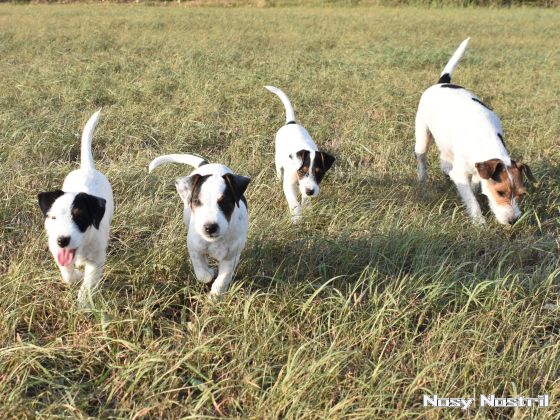 03.09.2016: Angelina Jolie - Jenseits aller Grenzen 03.09.2016: Angelina Jolie - Jenseits aller Grenzen