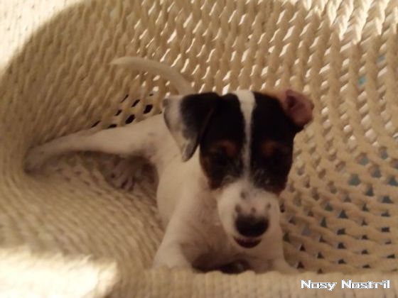 07.09.2016: Angelina Jolie - Wanted (1) 07.09.2016: Angelina Jolie - Wanted (1)