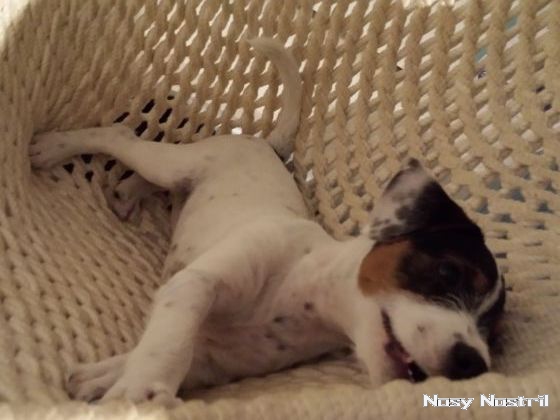 07.09.2016: Angelina Jolie - Wanted (2) 07.09.2016: Angelina Jolie - Wanted (2)