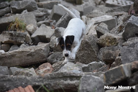 16.09.2016: Angelina Jolie - Ein mutiger Weg 16.09.2016: Angelina Jolie - Ein mutiger Weg