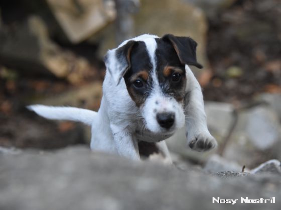 16.09.2016: Angelina Jolie - Unbroken 16.09.2016: Angelina Jolie - Unbroken
