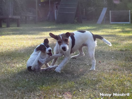 27.09.2016: Angelina Jolie - Nichts als Trouble mit den Frauen 27.09.2016: Angelina Jolie - Nichts als Trouble mit den Frauen