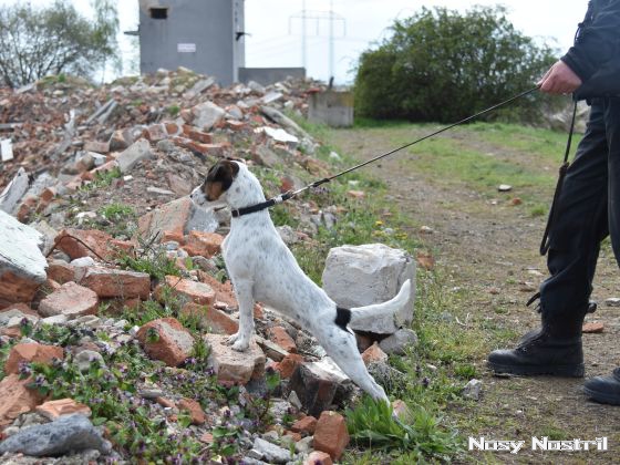 16.04.2017: Angelina Jolie – The Tourist (1) 16.04.2017: Angelina Jolie – The Tourist (1)