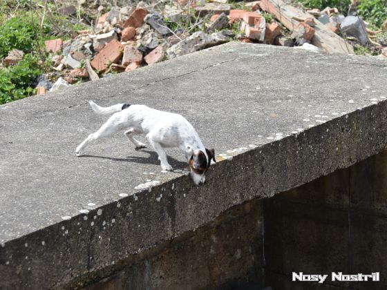 16.04.2017: Angelina Jolie – The Tourist (3) 16.04.2017: Angelina Jolie – The Tourist (3)