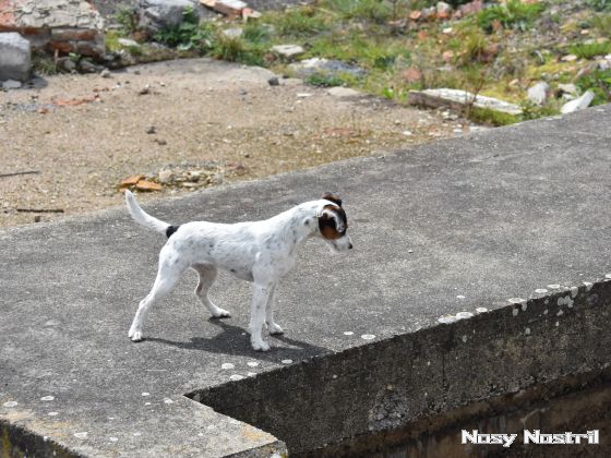 16.04.2017: Angelina Jolie – The Tourist (4) 16.04.2017: Angelina Jolie – The Tourist (4)