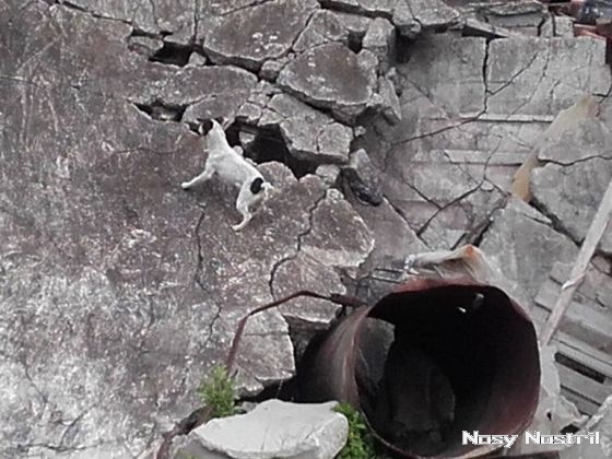 15.07.2017: Angelina Jolie – Durchgeknallt – Girl, Interrupted 15.07.2017: Angelina Jolie – Durchgeknallt – Girl, Interrupted