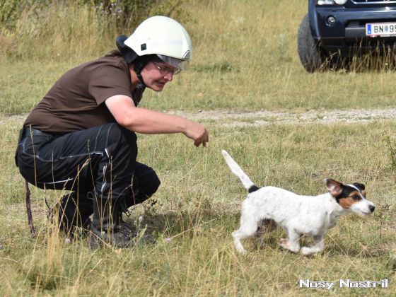 11.07.2017: Angelina Jolie – Nur noch 60 Sekunden (2) 11.07.2017: Angelina Jolie – Nur noch 60 Sekunden (2)