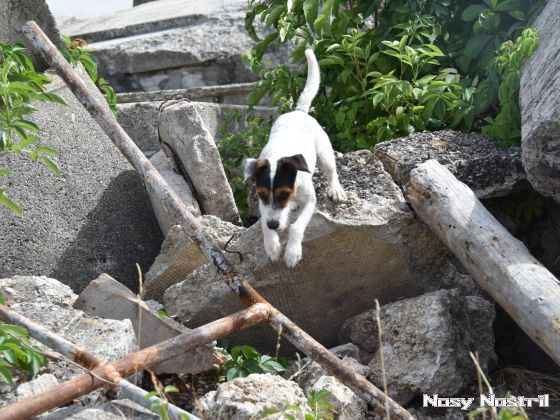11.07.2017: Angelina Jolie – Nur noch 60 Sekunden (3) 11.07.2017: Angelina Jolie – Nur noch 60 Sekunden (3)