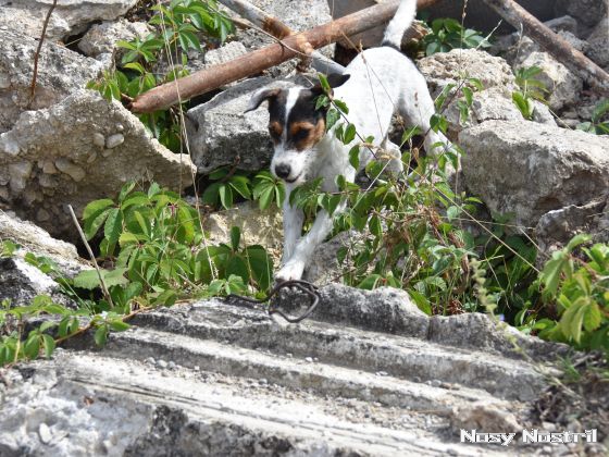 11.07.2017: Angelina Jolie – Nur noch 60 Sekunden (4) 11.07.2017: Angelina Jolie – Nur noch 60 Sekunden (4)