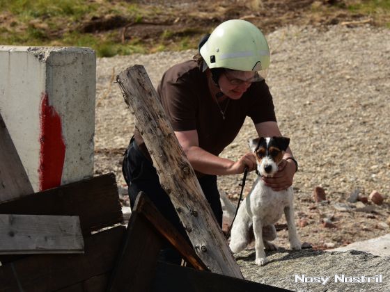 11.07.2017: Angelina Jolie – Nur noch 60 Sekunden (5) 11.07.2017: Angelina Jolie – Nur noch 60 Sekunden (5)