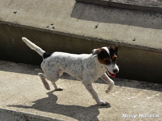 11.07.2017: Angelina Jolie – Nur noch 60 Sekunden (6) 11.07.2017: Angelina Jolie – Nur noch 60 Sekunden (6)