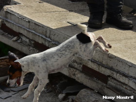 11.07.2017: Angelina Jolie – Nur noch 60 Sekunden (7) 11.07.2017: Angelina Jolie – Nur noch 60 Sekunden (7)