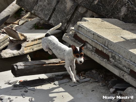 11.07.2017: Angelina Jolie – Nur noch 60 Sekunden (8) 11.07.2017: Angelina Jolie – Nur noch 60 Sekunden (8)