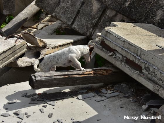 11.07.2017: Angelina Jolie – Nur noch 60 Sekunden (9) 11.07.2017: Angelina Jolie – Nur noch 60 Sekunden (9)