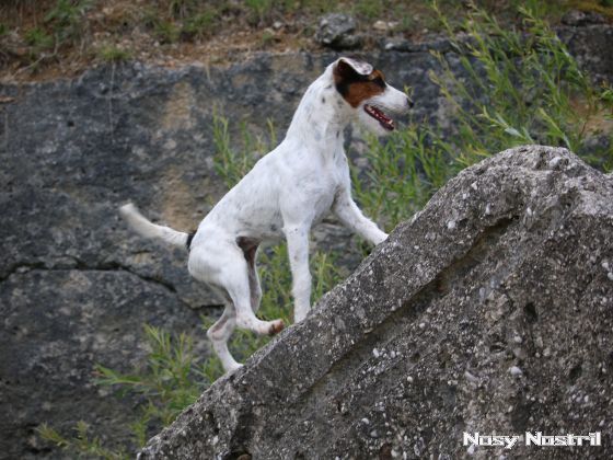 28.07.2017: Angelina Jolie – Turbulenzen und andere Katastrophen (1) 28.07.2017: Angelina Jolie – Turbulenzen und andere Katastrophen (1)