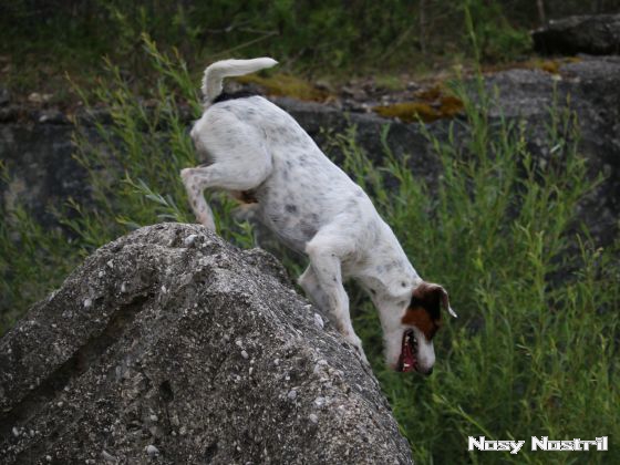 28.07.2017: Angelina Jolie – Turbulenzen und andere Katastrophen (2) 28.07.2017: Angelina Jolie – Turbulenzen und andere Katastrophen (2)