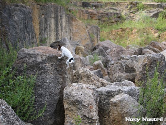 28.07.2017: Angelina Jolie – Turbulenzen und andere Katastrophen (3) 28.07.2017: Angelina Jolie – Turbulenzen und andere Katastrophen (3)