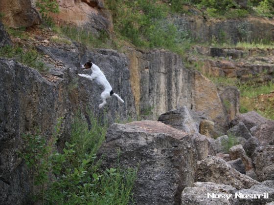 28.07.2017: Angelina Jolie – Turbulenzen und andere Katastrophen (4) 28.07.2017: Angelina Jolie – Turbulenzen und andere Katastrophen (4)