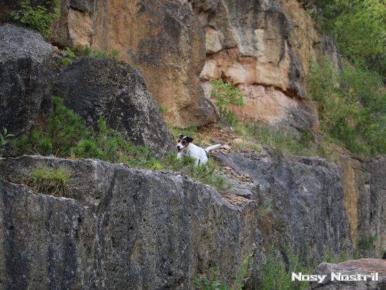 28.07.2017: Angelina Jolie – Turbulenzen und andere Katastrophen (5) 28.07.2017: Angelina Jolie – Turbulenzen und andere Katastrophen (5)