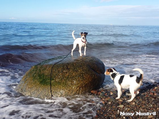 01.10.2017: Angelina Jolie – By The Sea (3) 01.10.2017: Angelina Jolie – By The Sea (3)