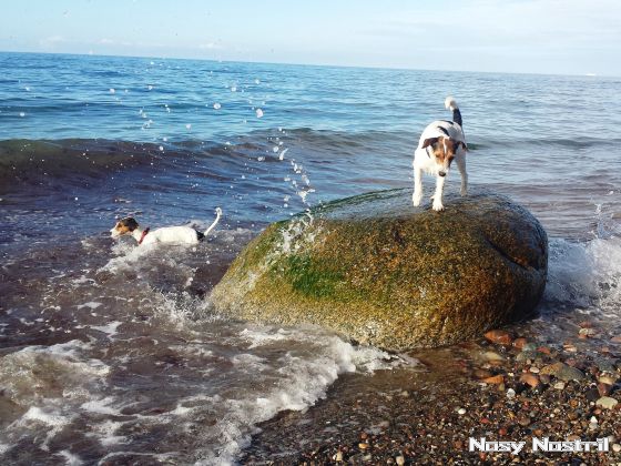 01.10.2017: Angelina Jolie – By The Sea (4) 01.10.2017: Angelina Jolie – By The Sea (4)