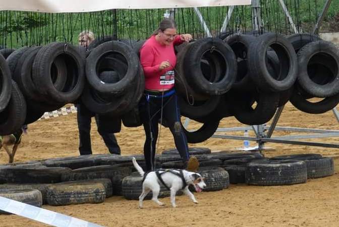Parson Russell Terrier Nosy Nostril Angelina Jolie beim HDR-Hindernislauf 2018 | (c) Krisztina Varróné Widuchowski Parson Russell Terrier Nosy Nostril Angelina Jolie beim HDR-Hindernislauf 2018 | (c) Krisztina Varróné Widuchowski