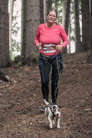 Parson Russell Terrier Nosy Nostril Angelina Jolie beim HDR 2018 - Joggen im Wald | (c) CyberCat Photo Parson Russell Terrier Nosy Nostril Angelina Jolie beim HDR 2018 - Joggen im Wald | (c) CyberCat Photo