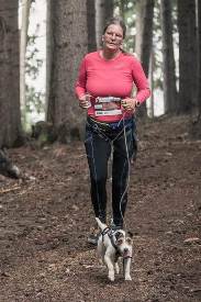 Parson Russell Terrier Nosy Nostril Angelina Jolie beim HDR 2018 - Joggen im Wald | (c) CyberCat Photo