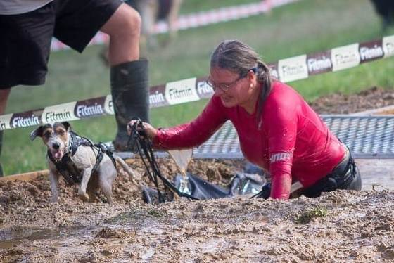 Parson Russell Terrier Nosy Nostril Angelina Jolie beim Hard Dog Race 2018 im kühlen Nass | (c) BailyWilk Foto Parson Russell Terrier Nosy Nostril Angelina Jolie beim Hard Dog Race 2018 im kühlen Nass | (c) BailyWilk Foto