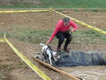 Parson Russell Terrier Nosy Nostril Angelina Jolie beim HDR 2018 - Sprung ins Wasser | (c) Krisztina Varróné Widuchowski Parson Russell Terrier Nosy Nostril Angelina Jolie beim HDR 2018 - Sprung ins Wasser | (c) Krisztina Varróné Widuchowski