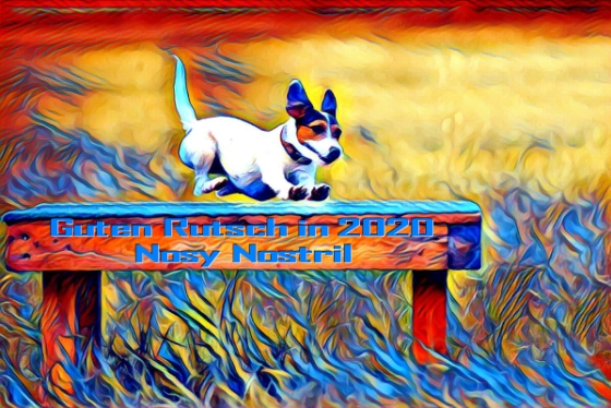 Nosy Nostril wünscht allen Parson Russell Terrier Freunden Frohe Weihnachten und ein glückliches neues Jahr 2020!