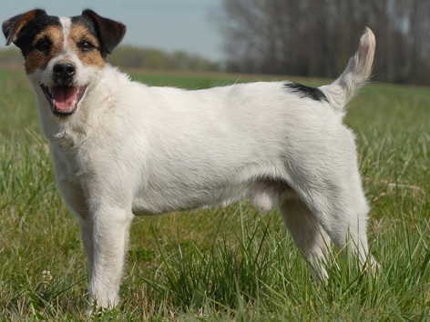 Glenholm Ludovic - (c) Christine Fröhlich