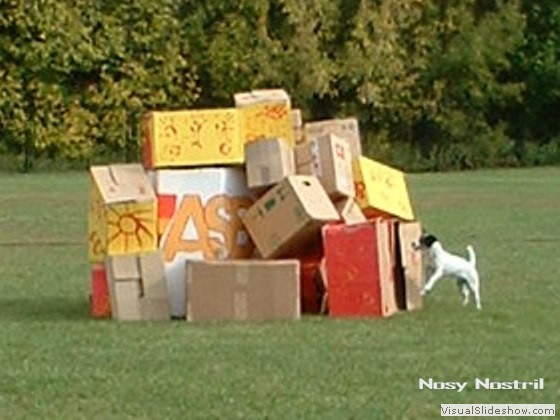Bild 05 - Rettungshunde-Vorführung bei der KfT-KSP 2003